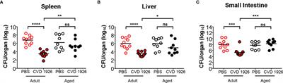 Reduced immunogenicity of a live Salmonella enterica serovar Typhimurium vaccine in aged mice